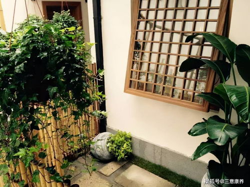 西子湖畔,踏春而來(lái),杭州西湖邊4天420元每人